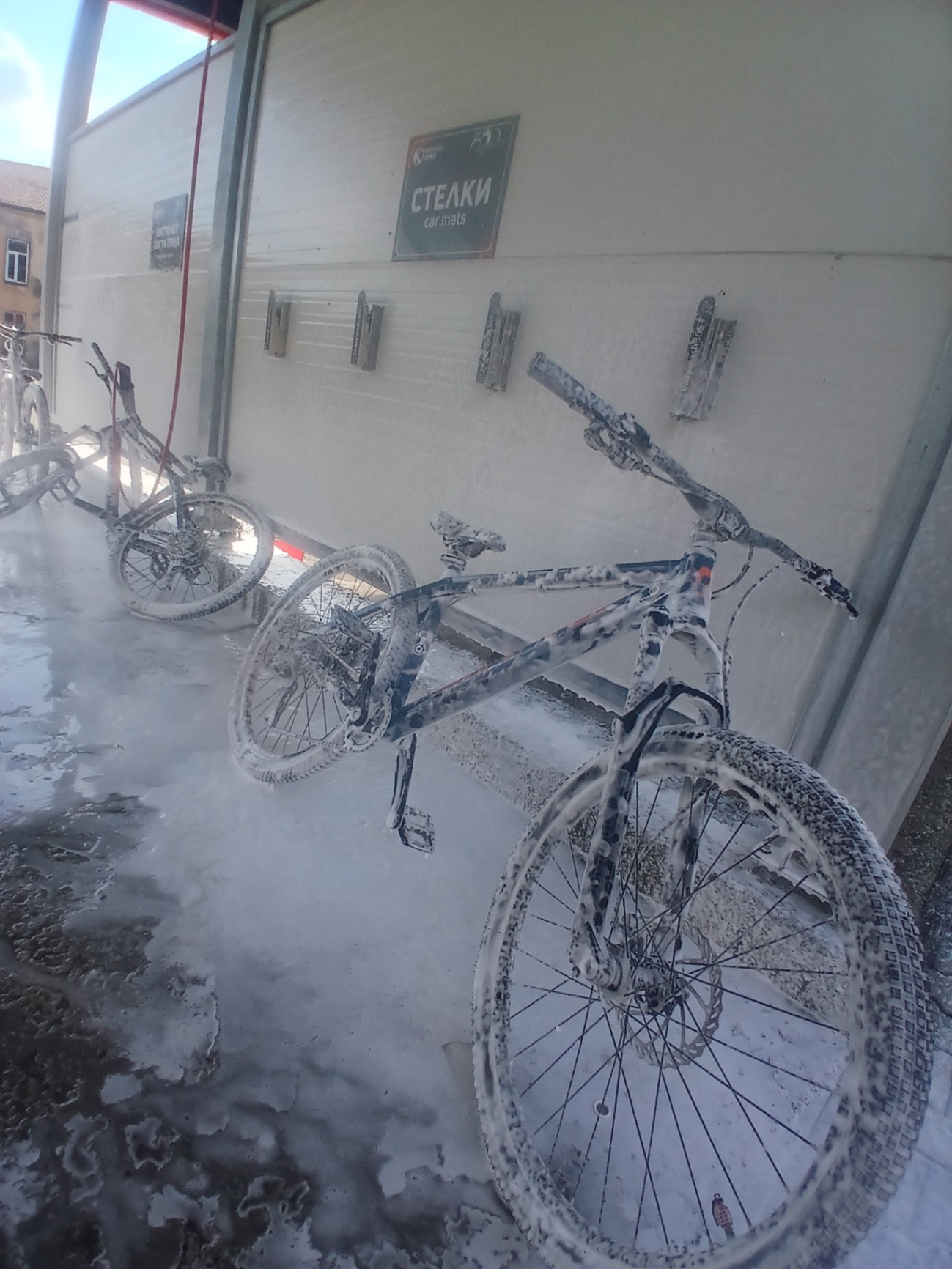Bike view 5