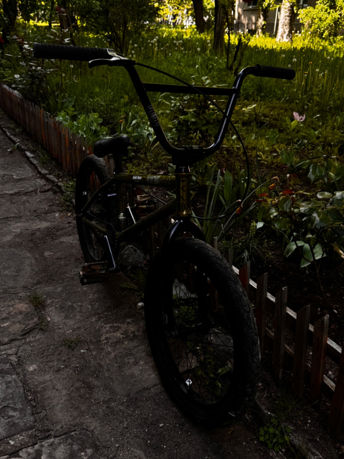 Bike view 8