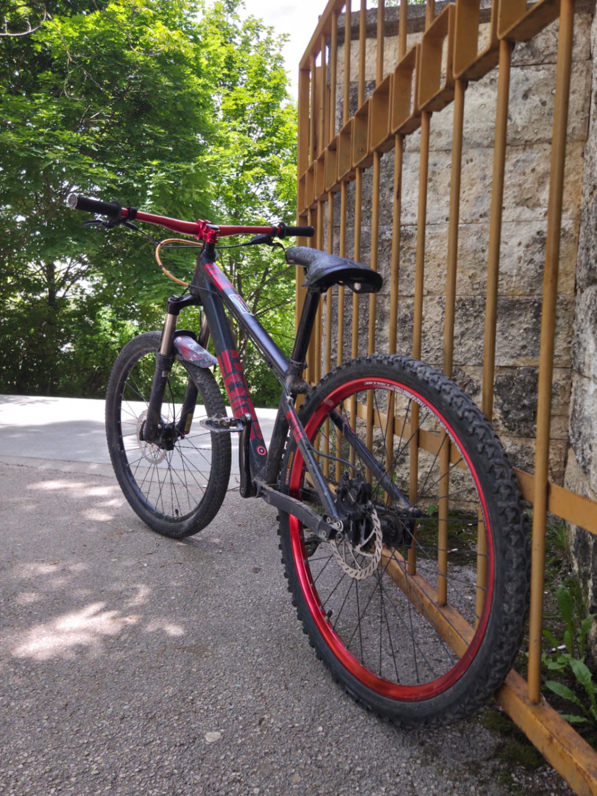Bike view 6