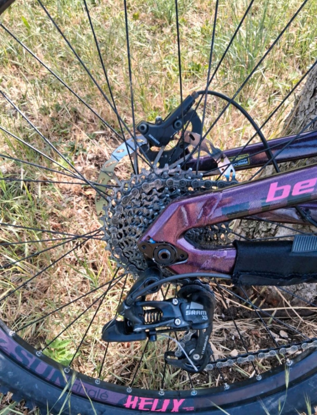 Bike view 5