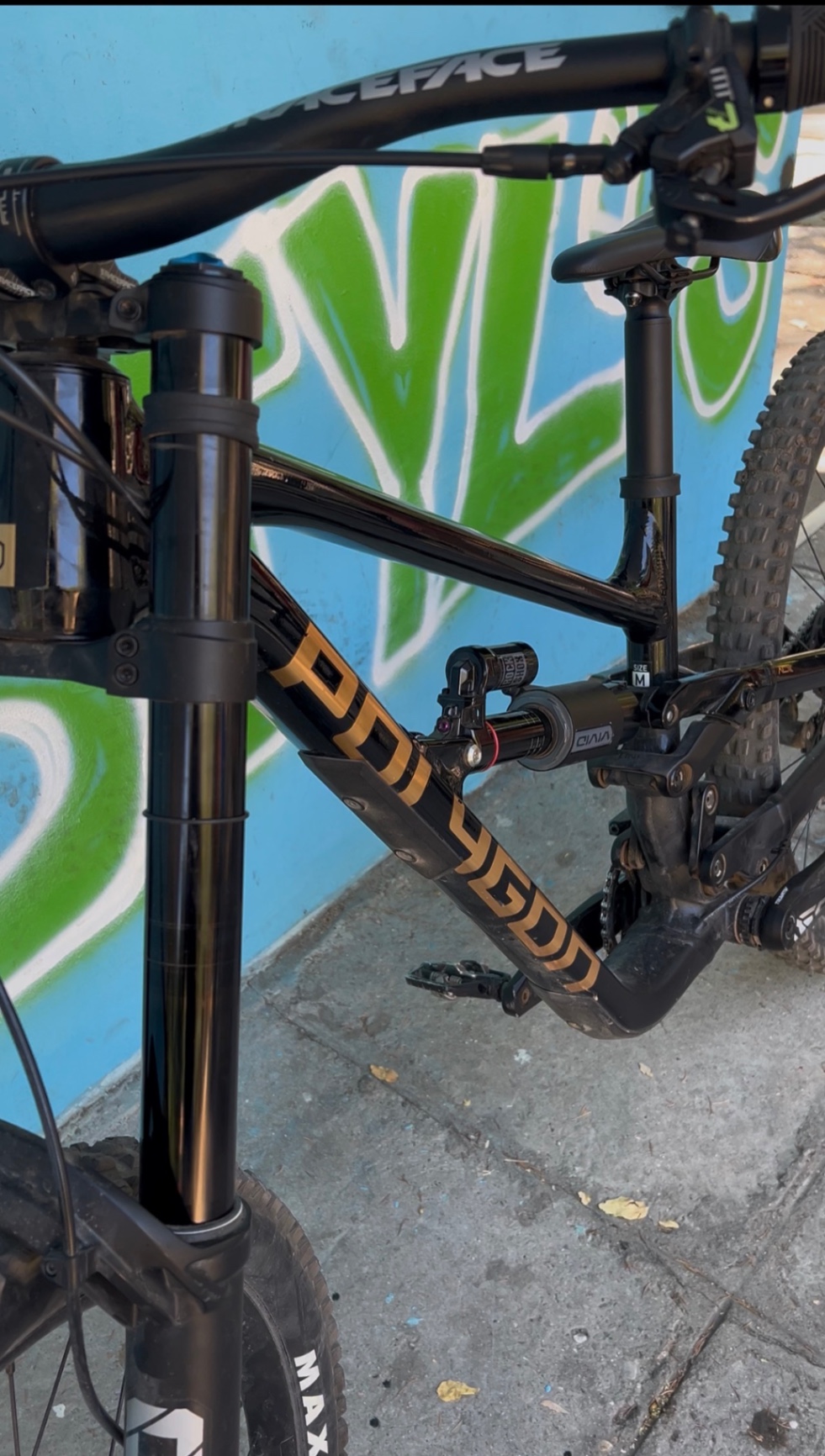 Bike view 4