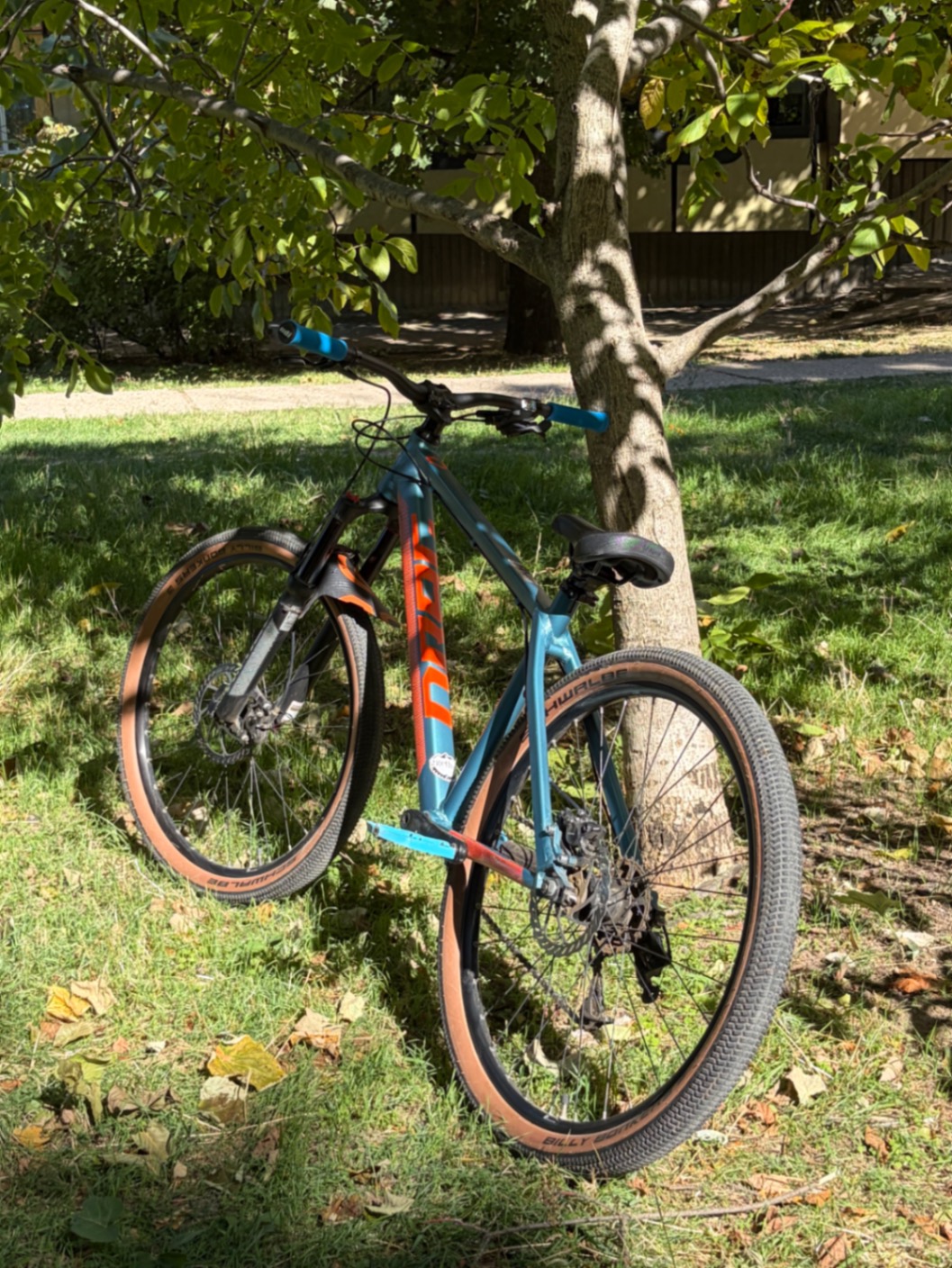 Bike view 2