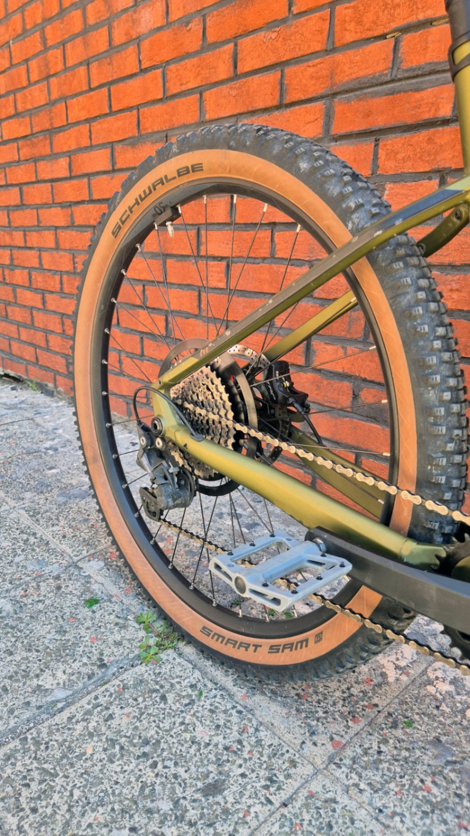 Bike view 9