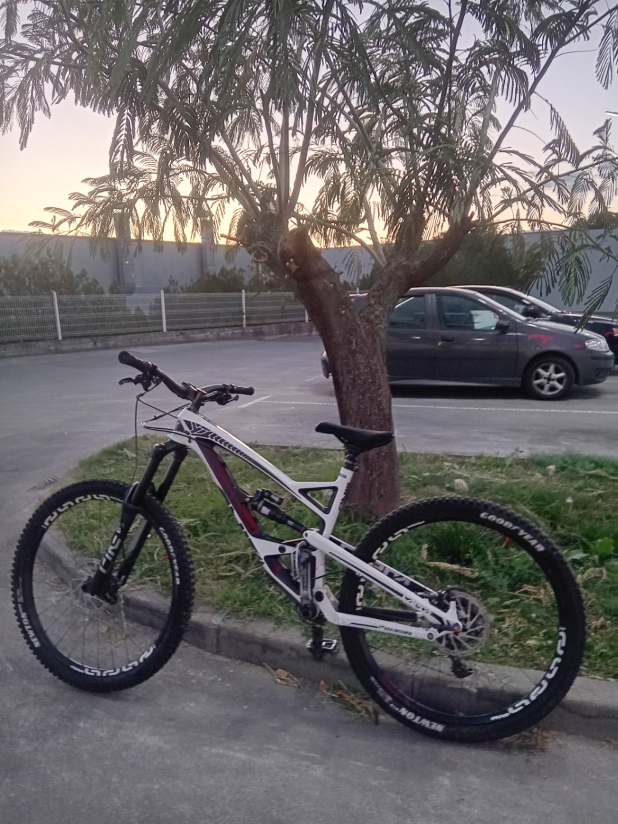 YT Industries Capra CF Pro
