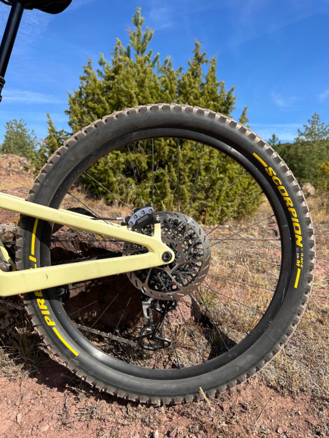 Bike view 5