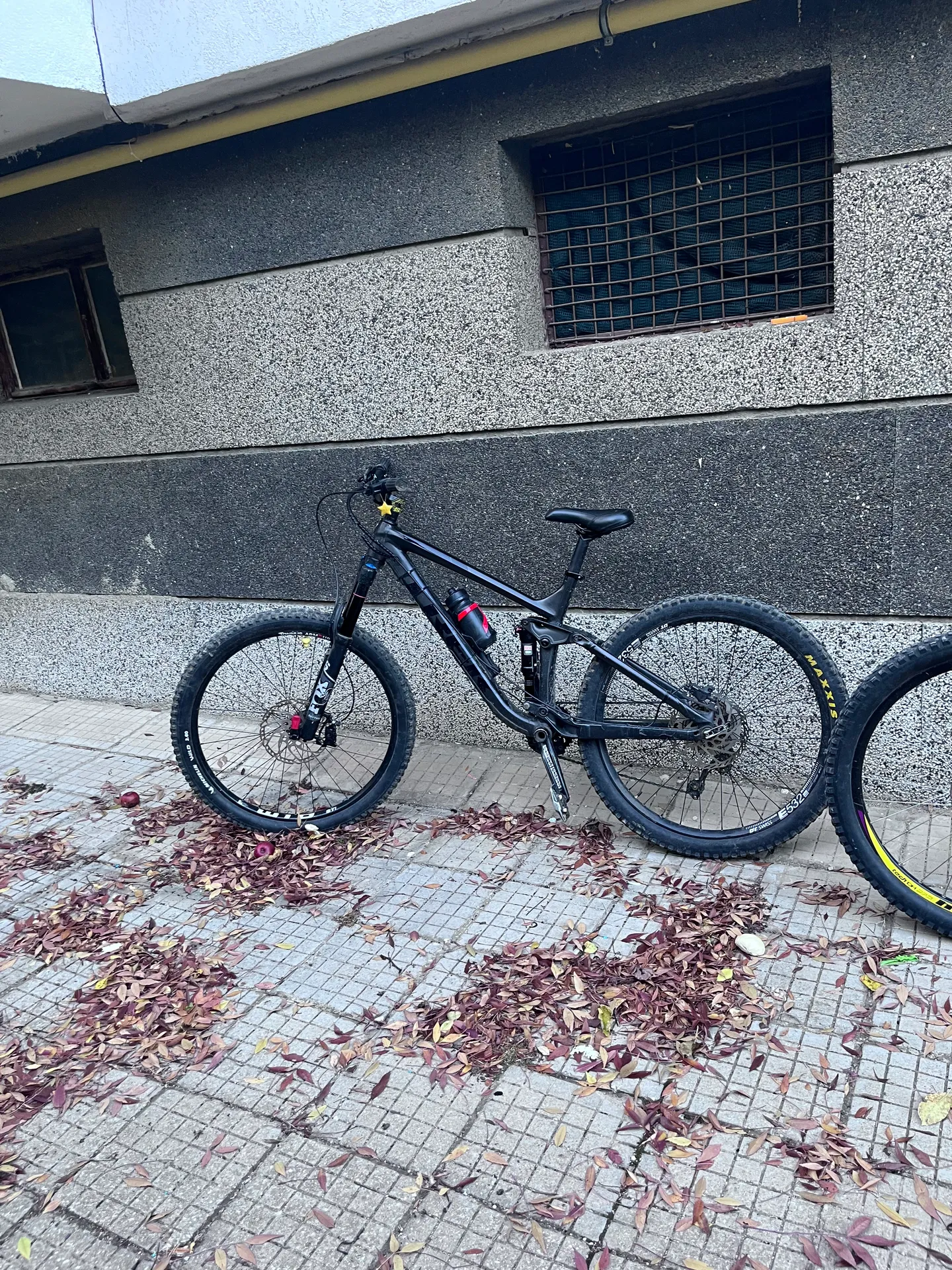 Trek Remedy 7