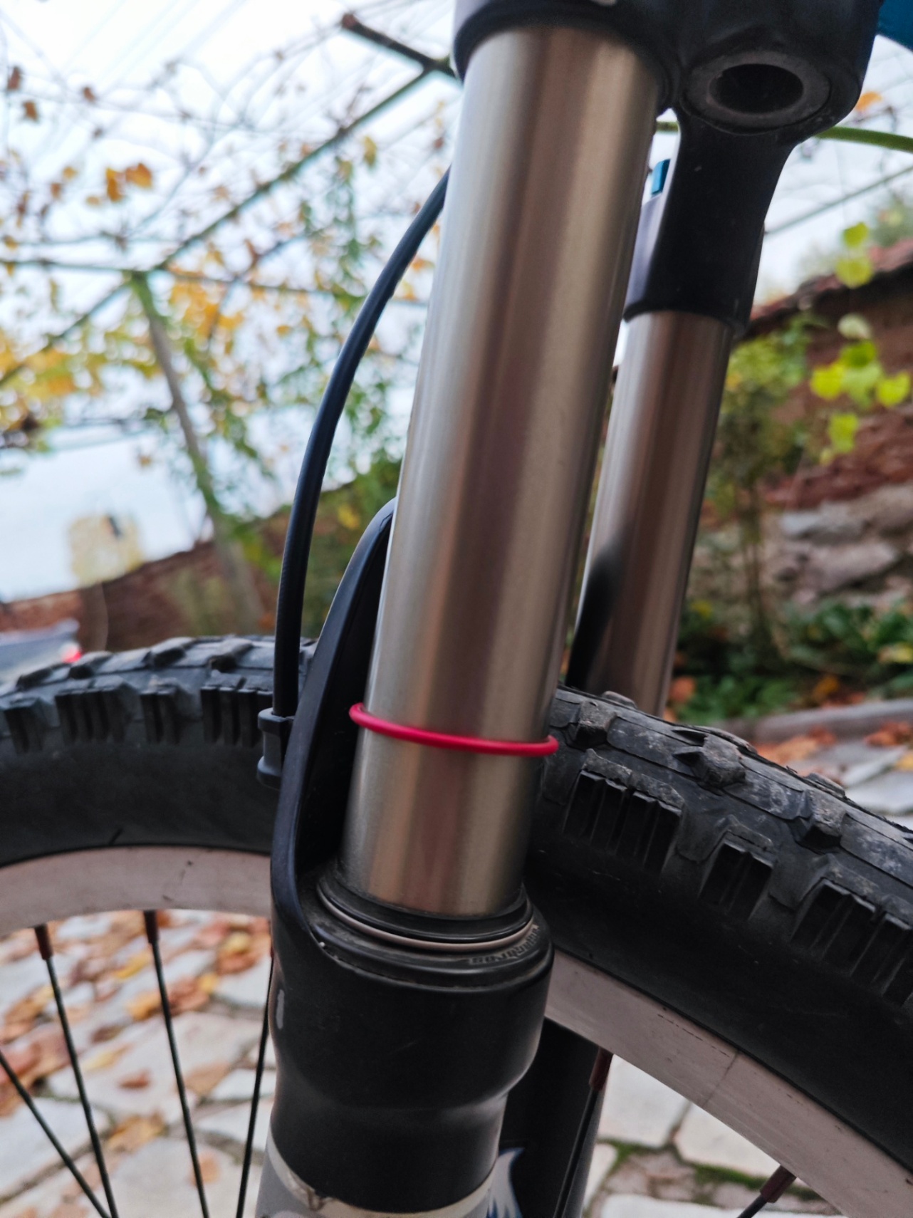 Bike view 10