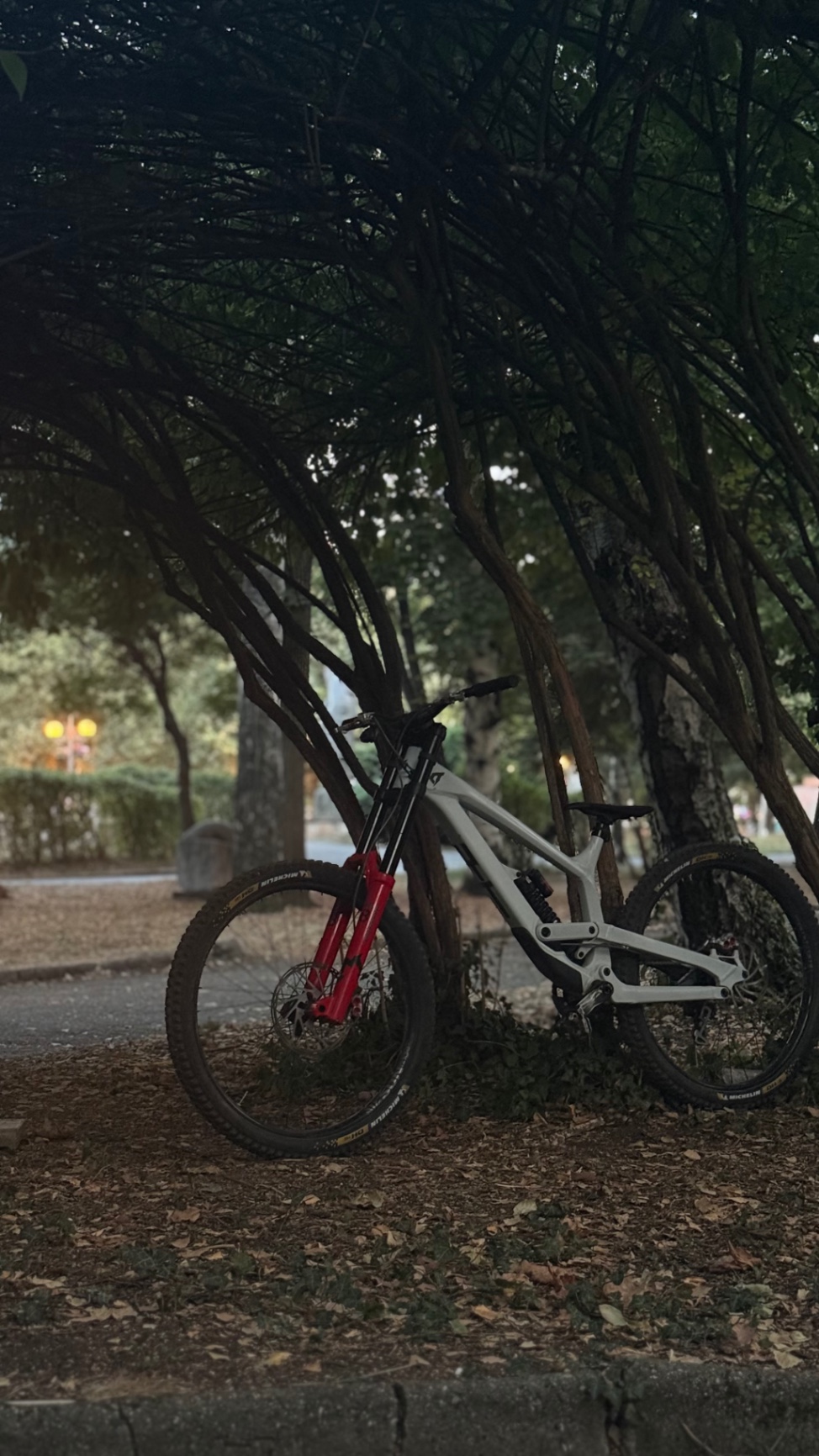Bike view 7
