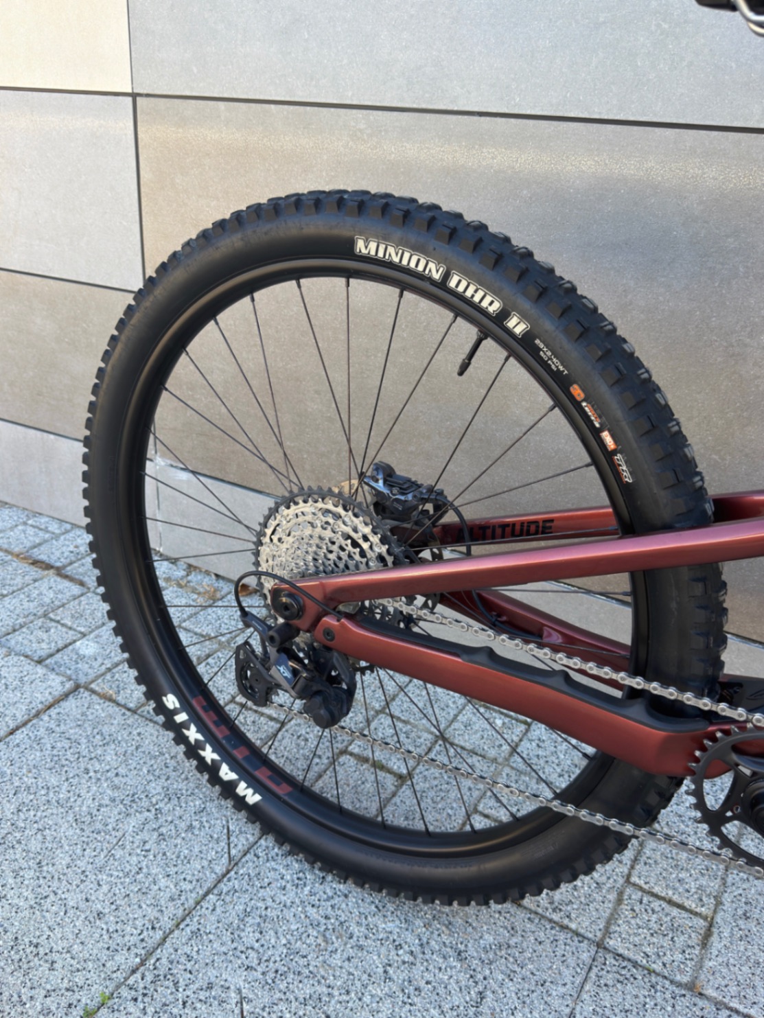 Bike view 7