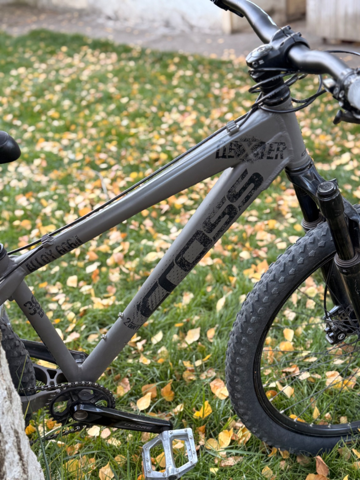 Bike view 7