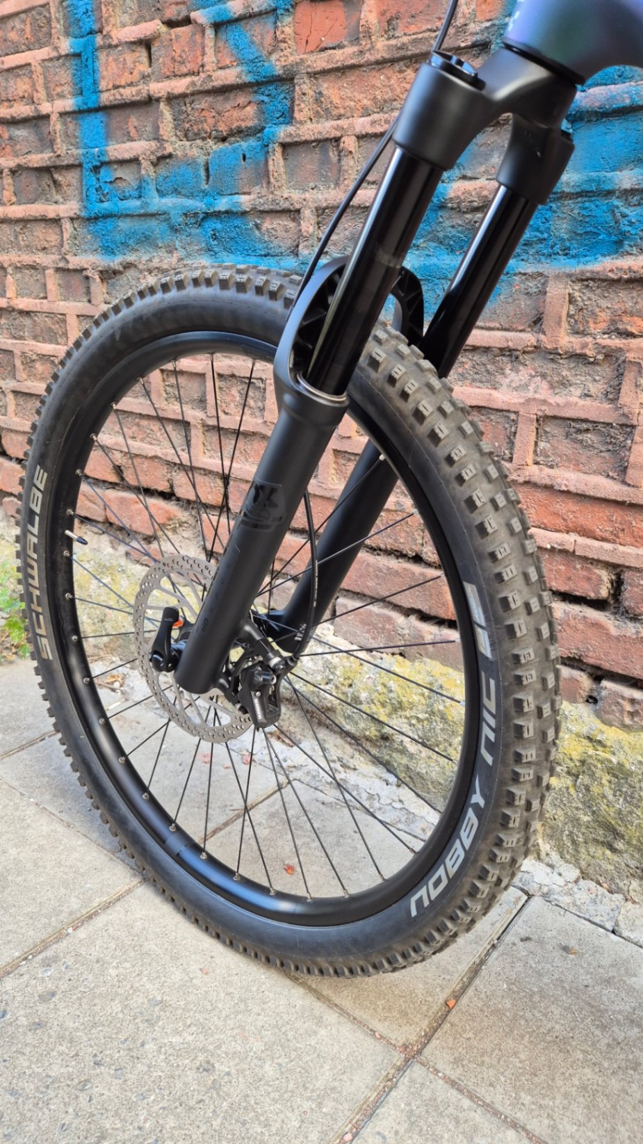 Bike view 10