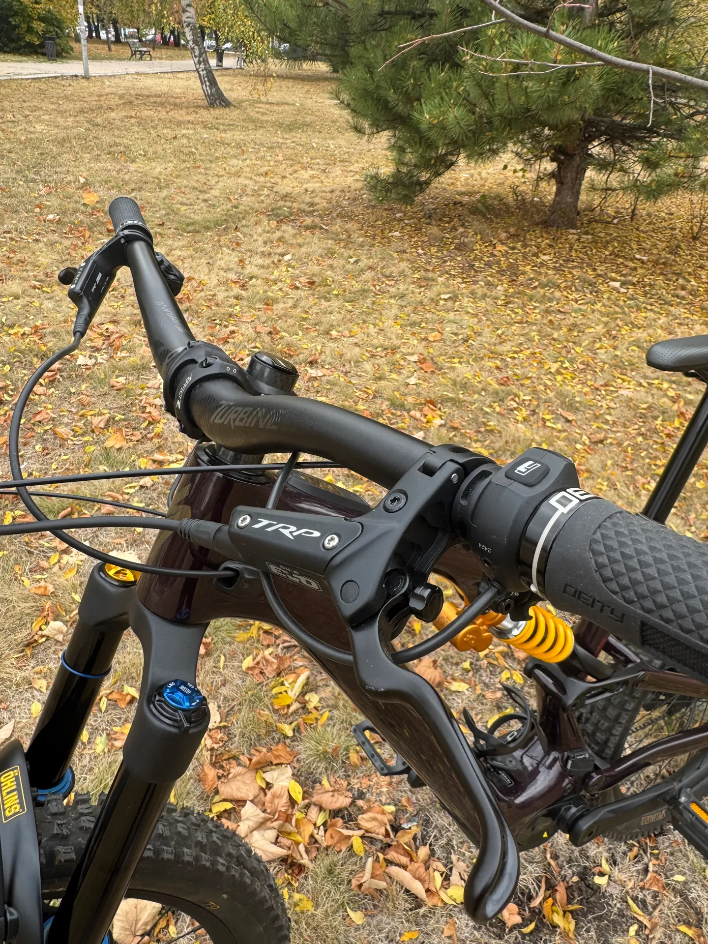Specialized Turbo Levo SL2 Ohlins Edition view 3