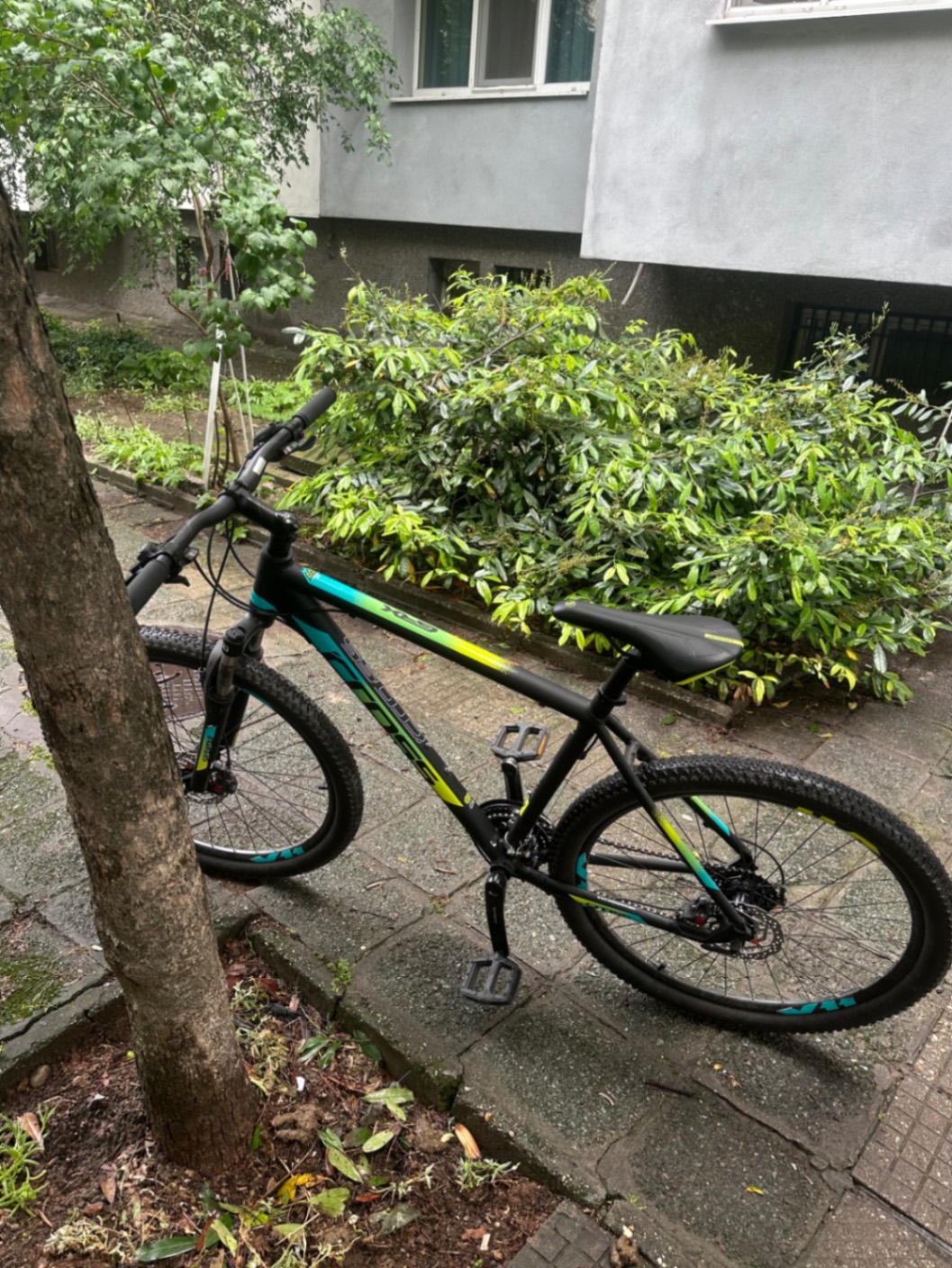 Bike view 3