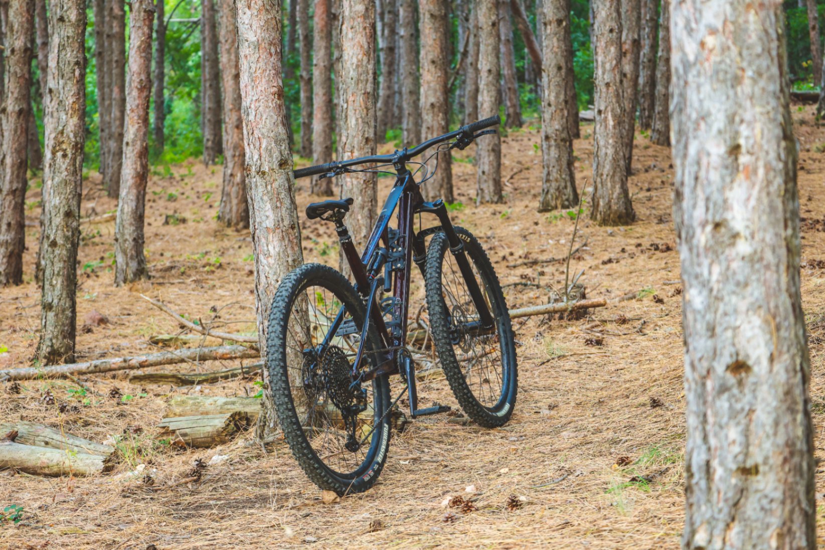 Bike view 6