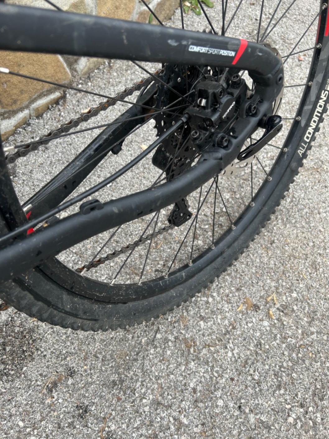 Bike view 7