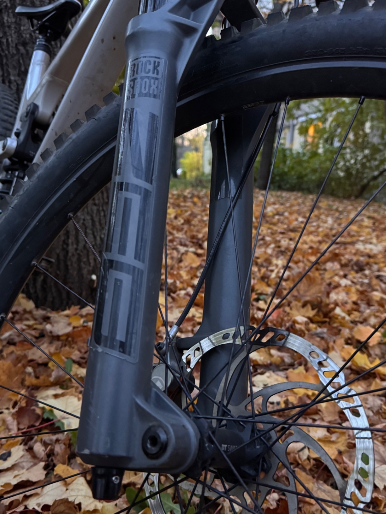 Bike view 5