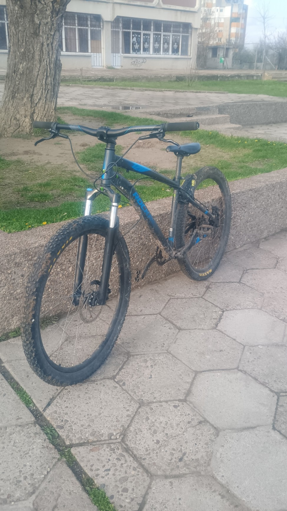 Bike view 9