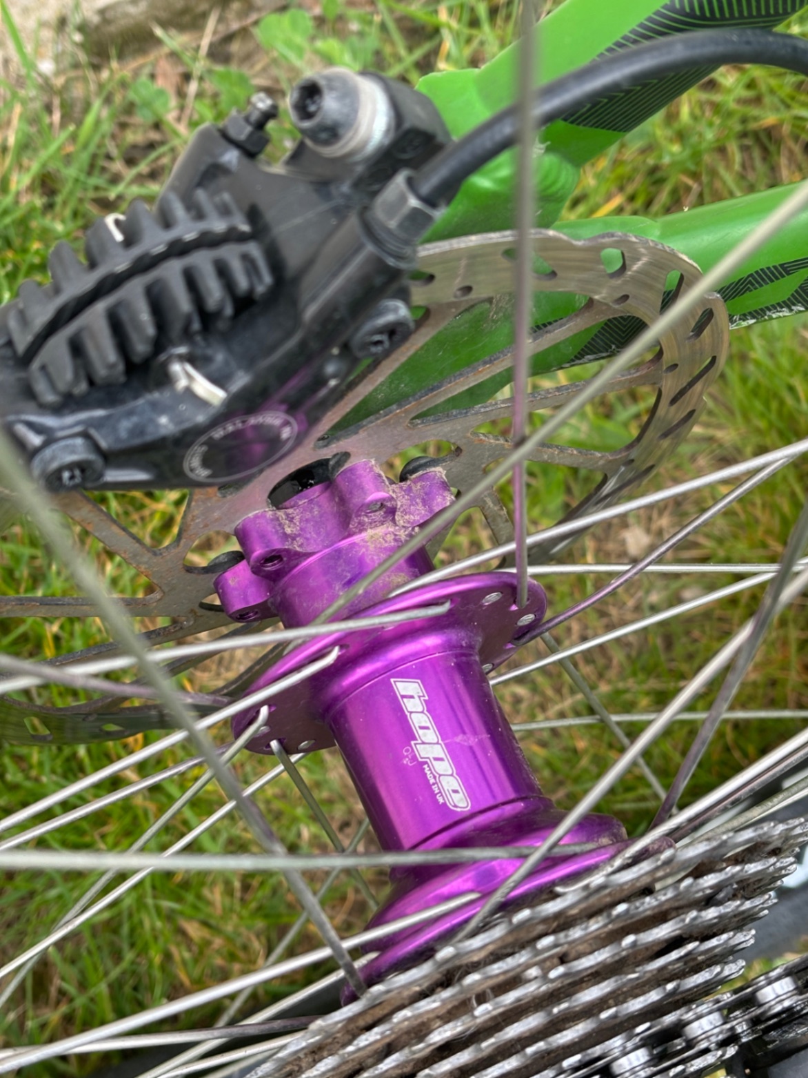 Bike view 9