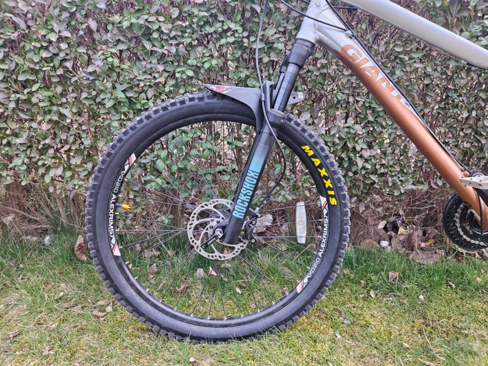 Bike view 5