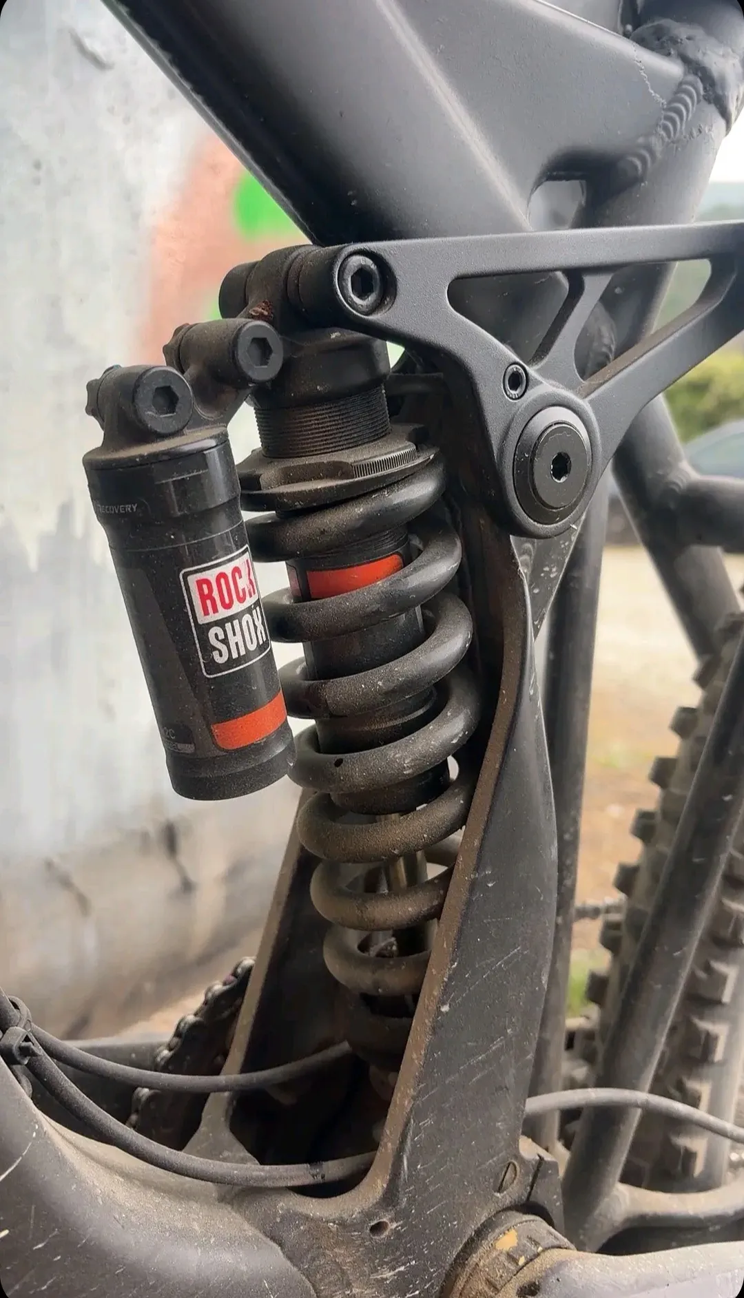 Haibike Dwnhll view 9