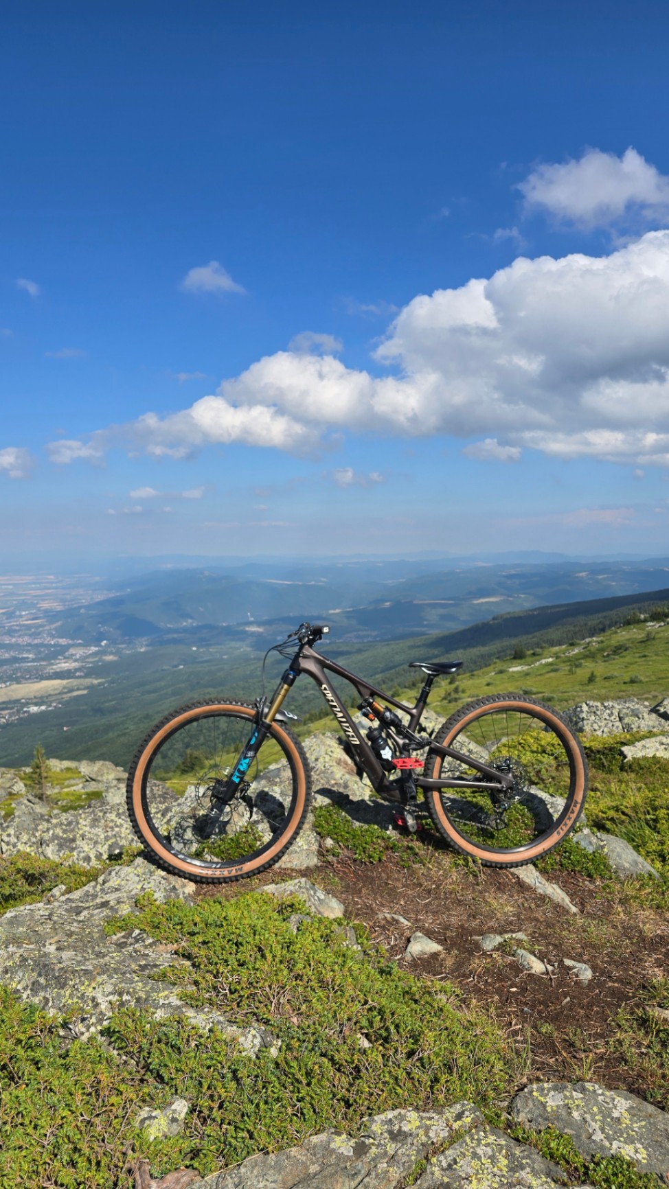Specialized Stumpjumper EVO Expert