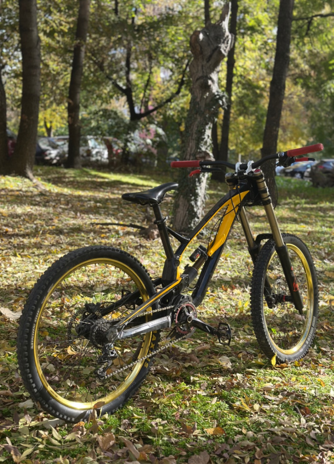 Bike view 2