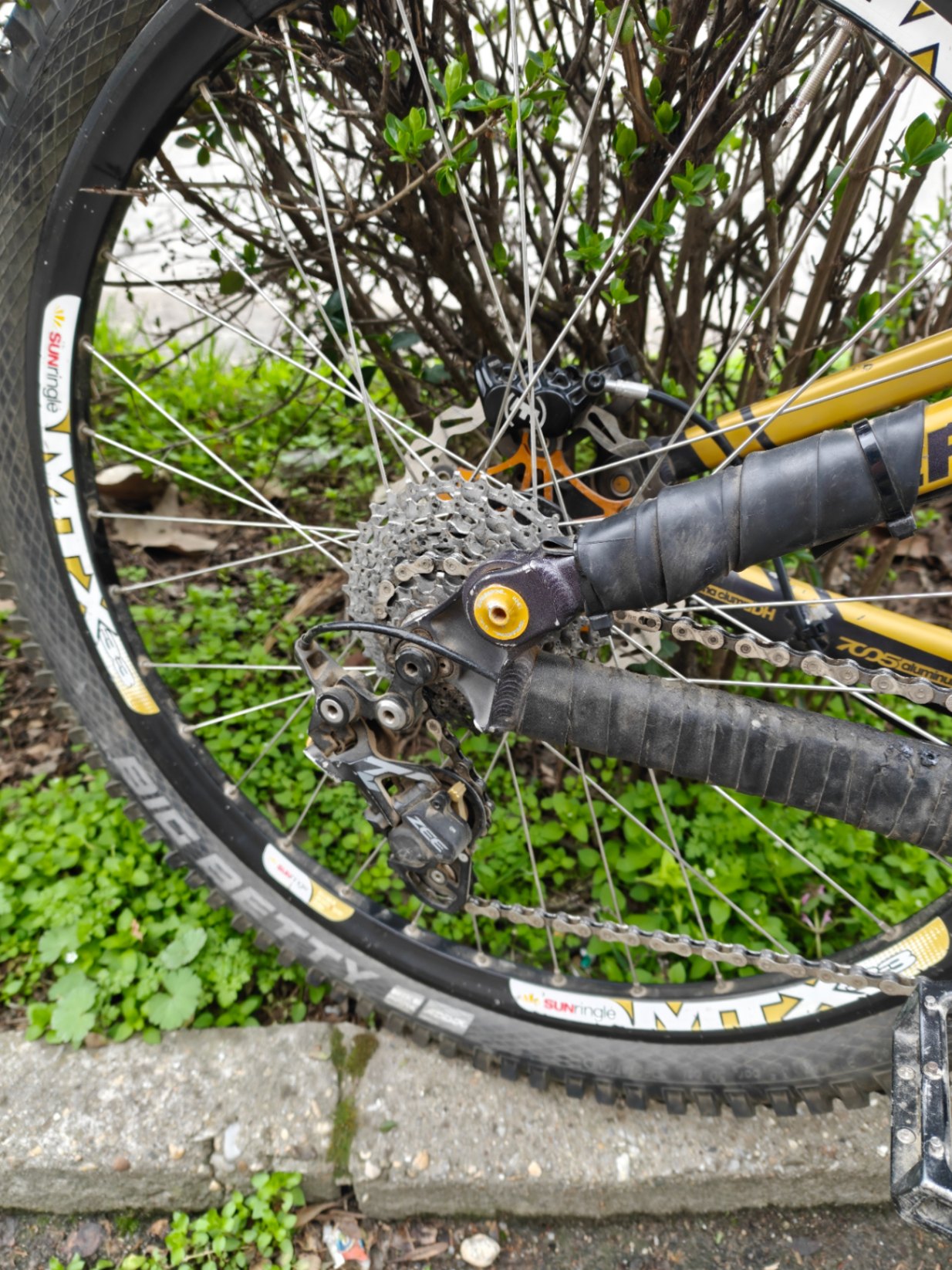 Bike view 6