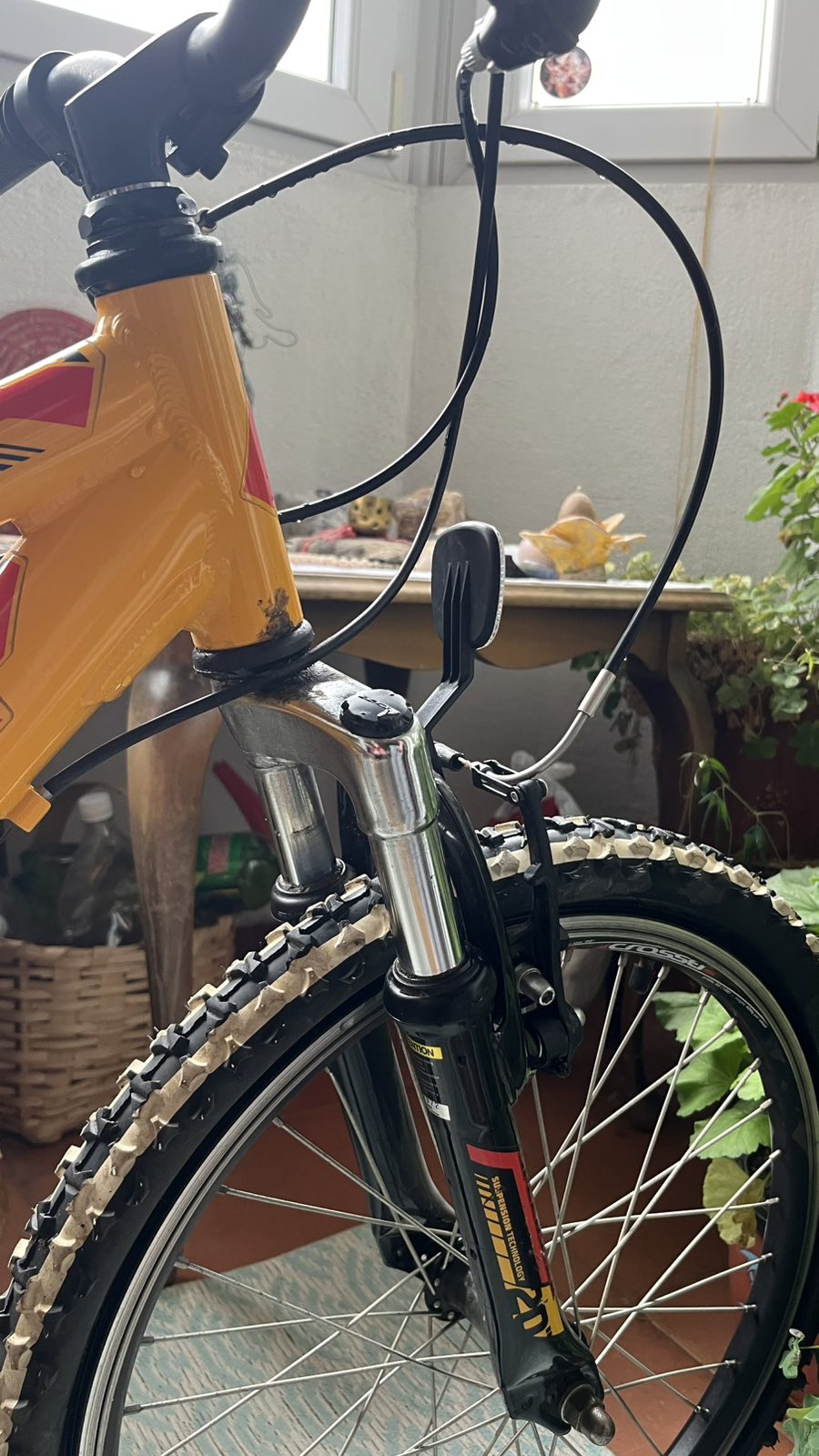 Bike view 3