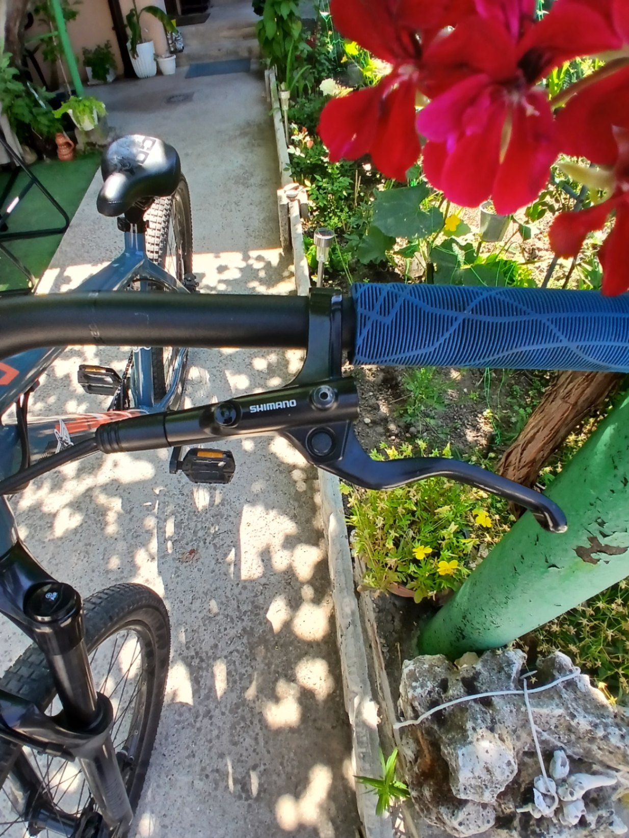 Bike view 9