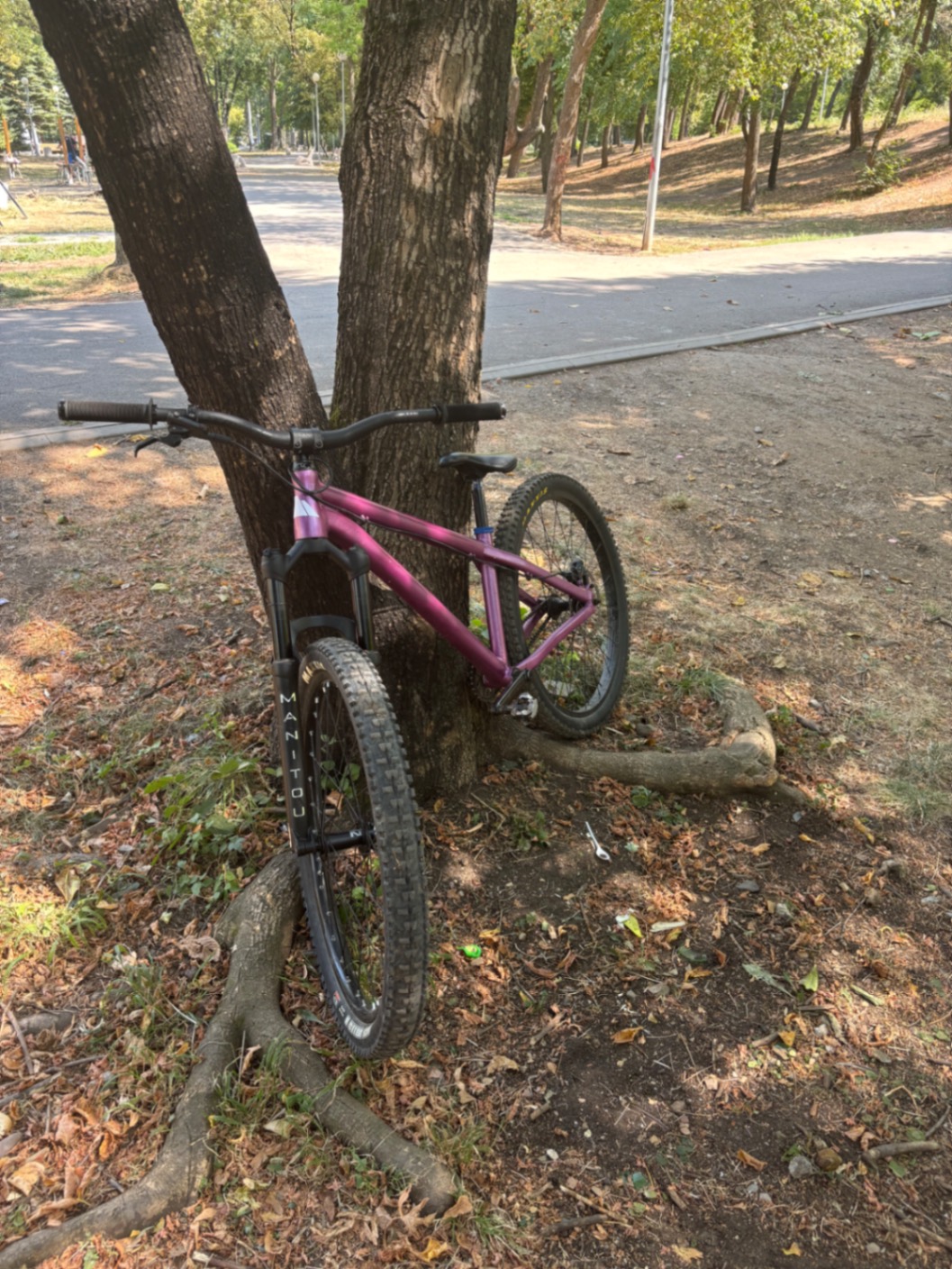 Bike view 5