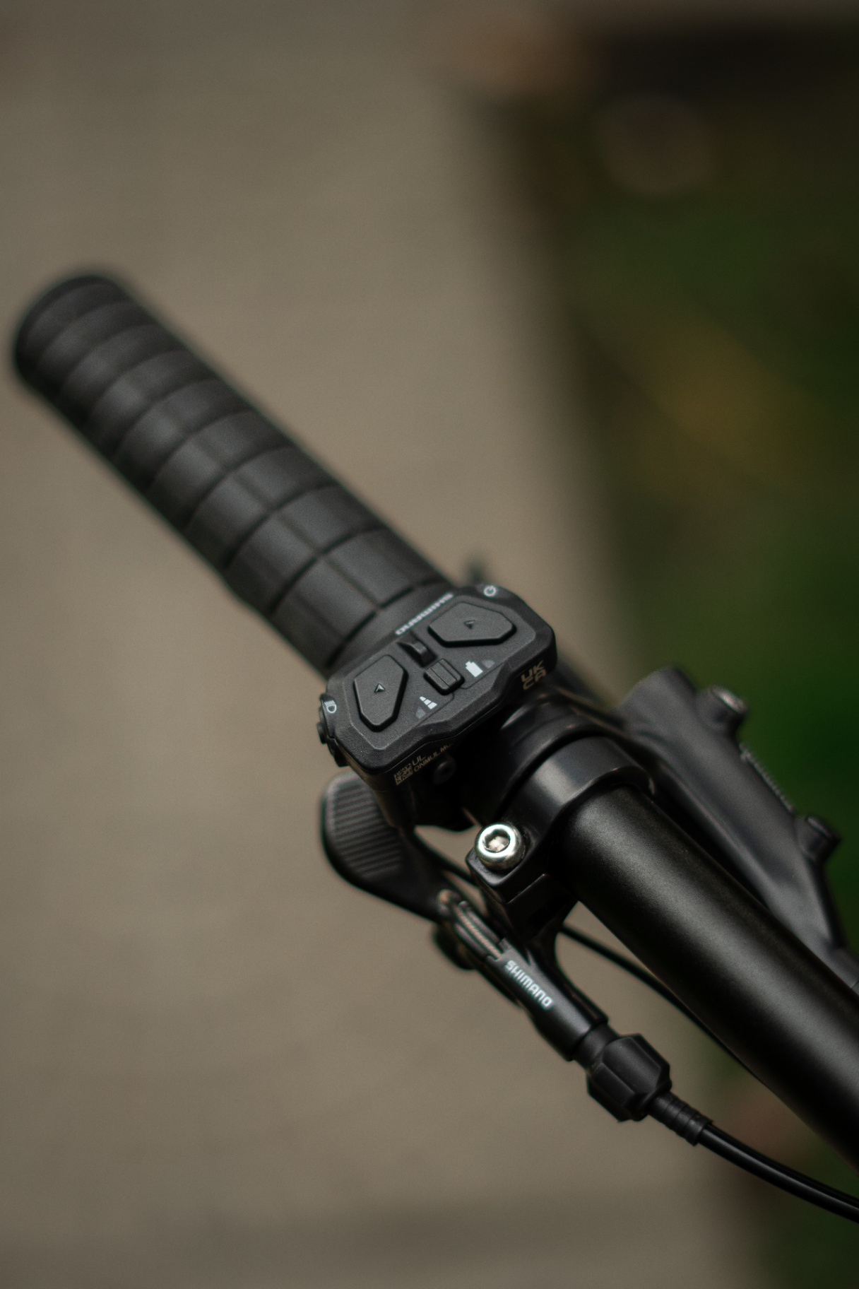 Bike view 6