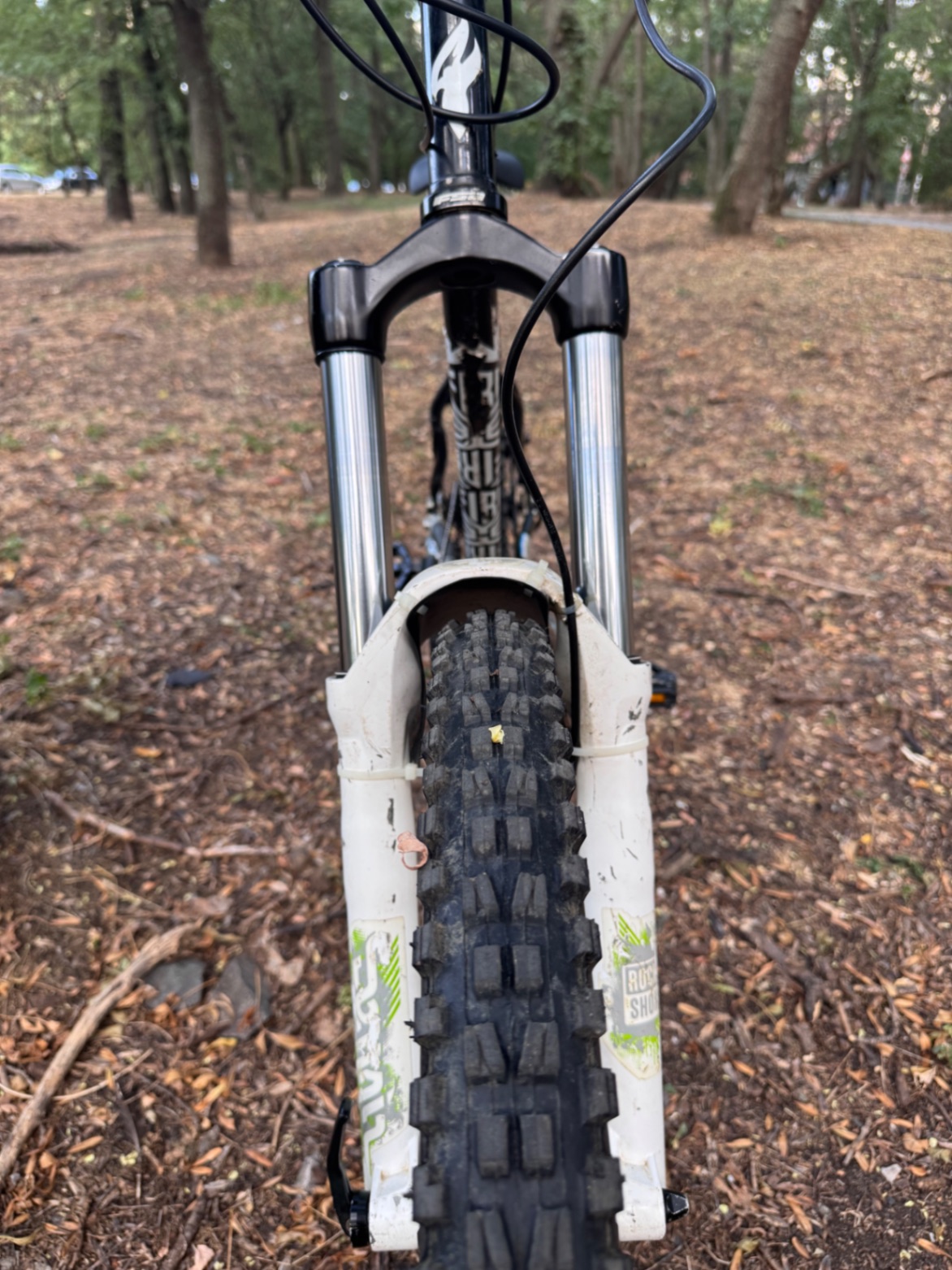 Bike view 10