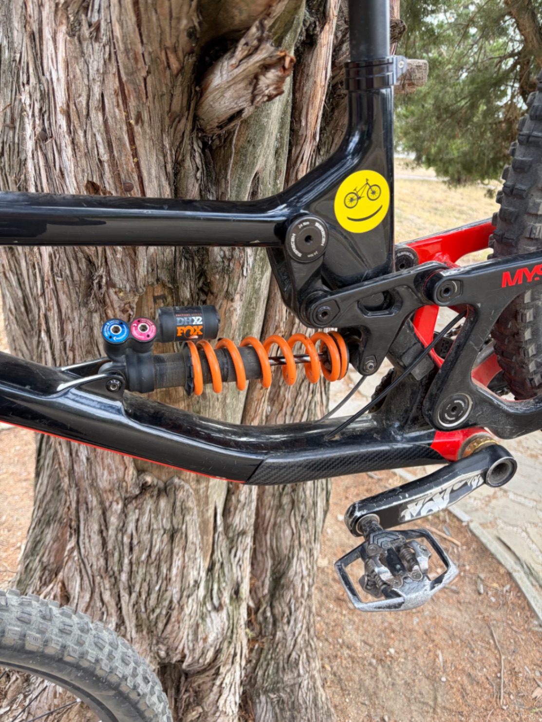 Saracen Myst x carbon view 6