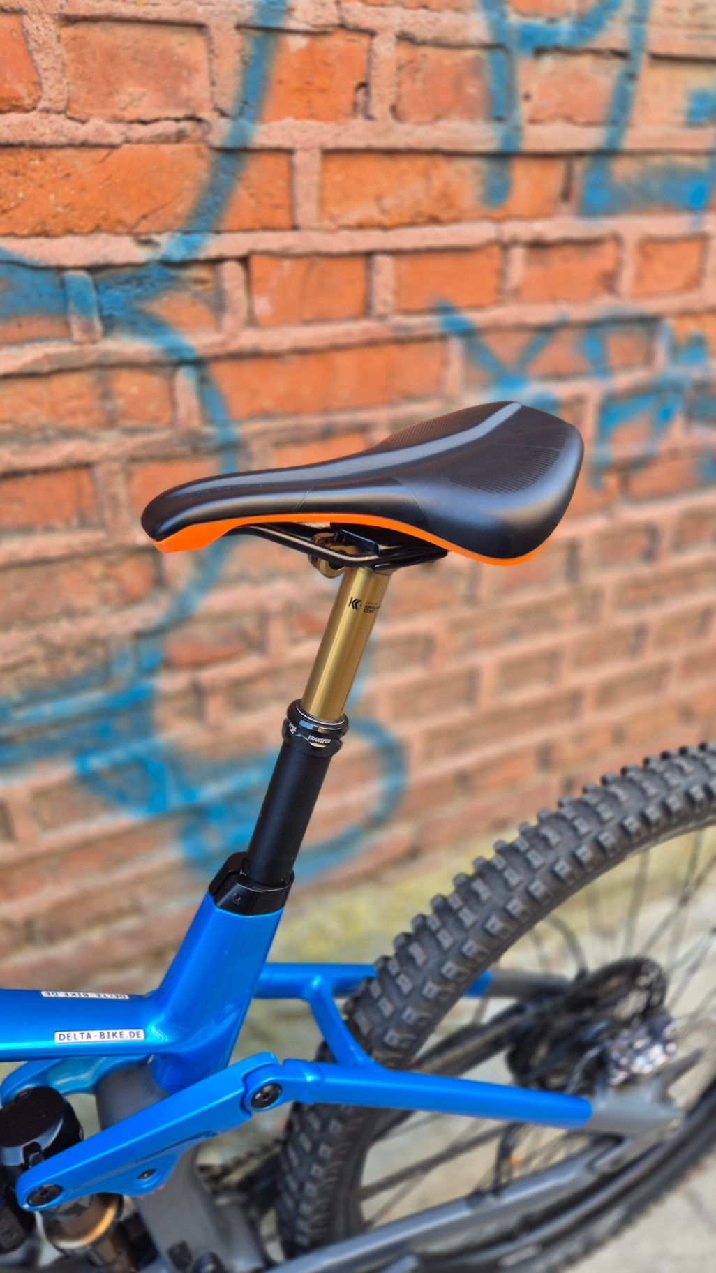 Bike view 11