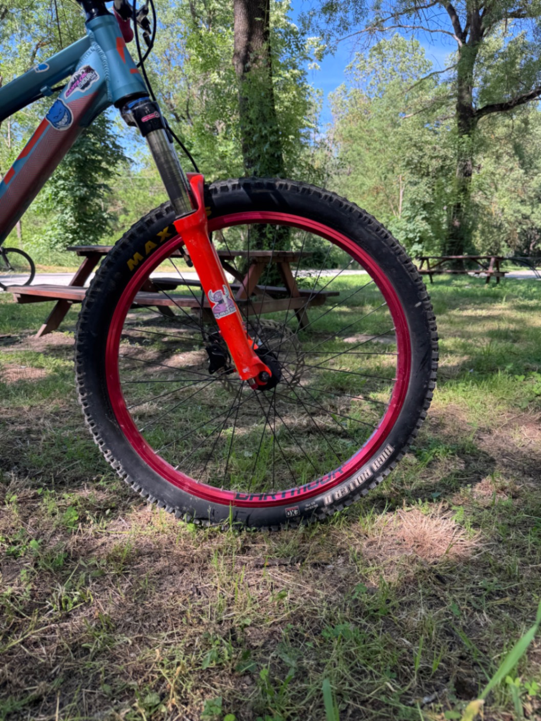 Bike view 5