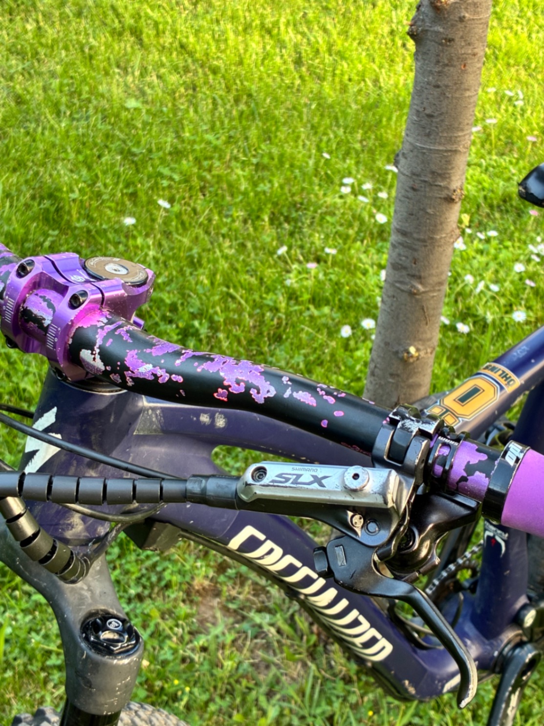 Bike view 9