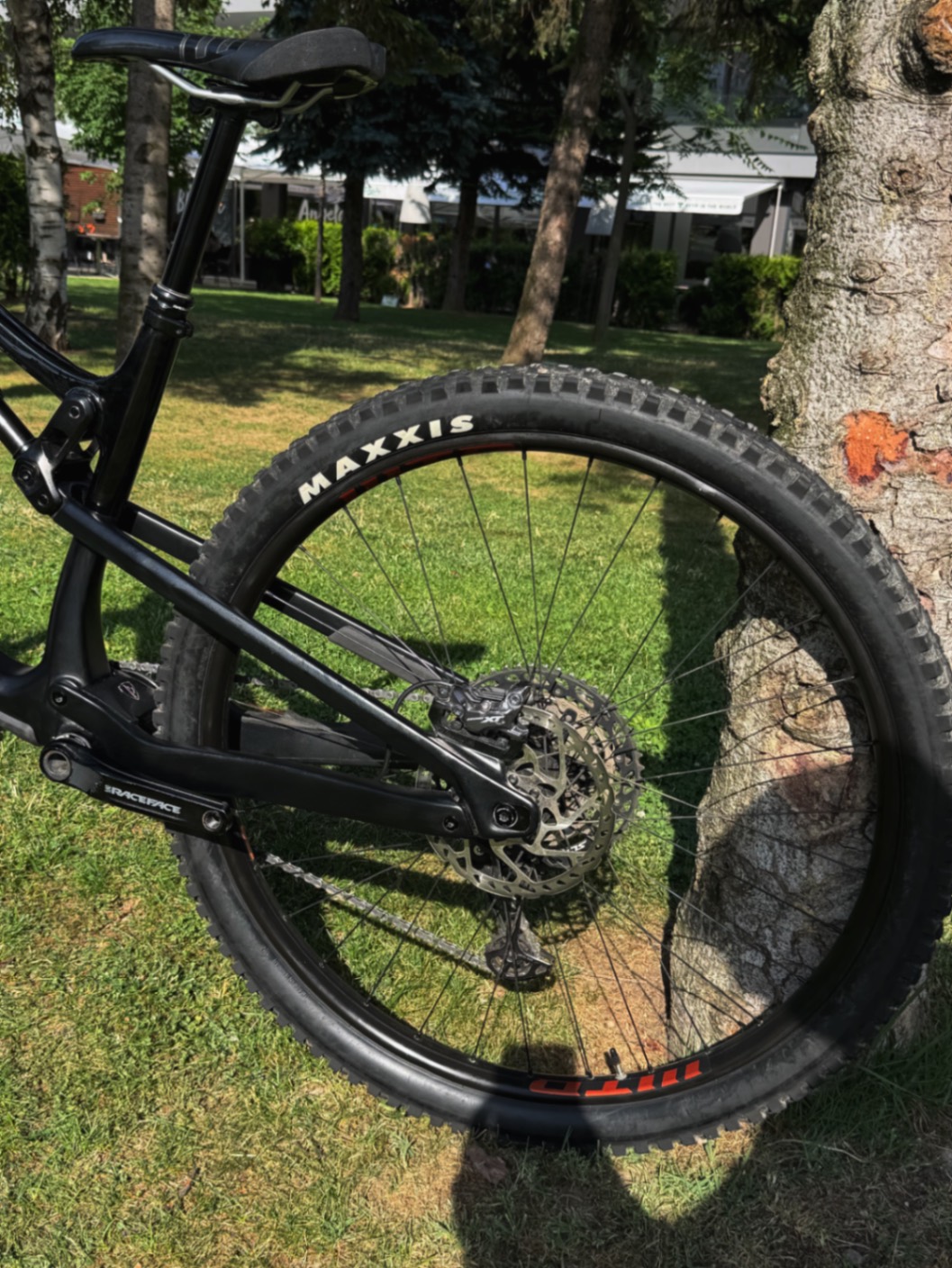 Bike view 8