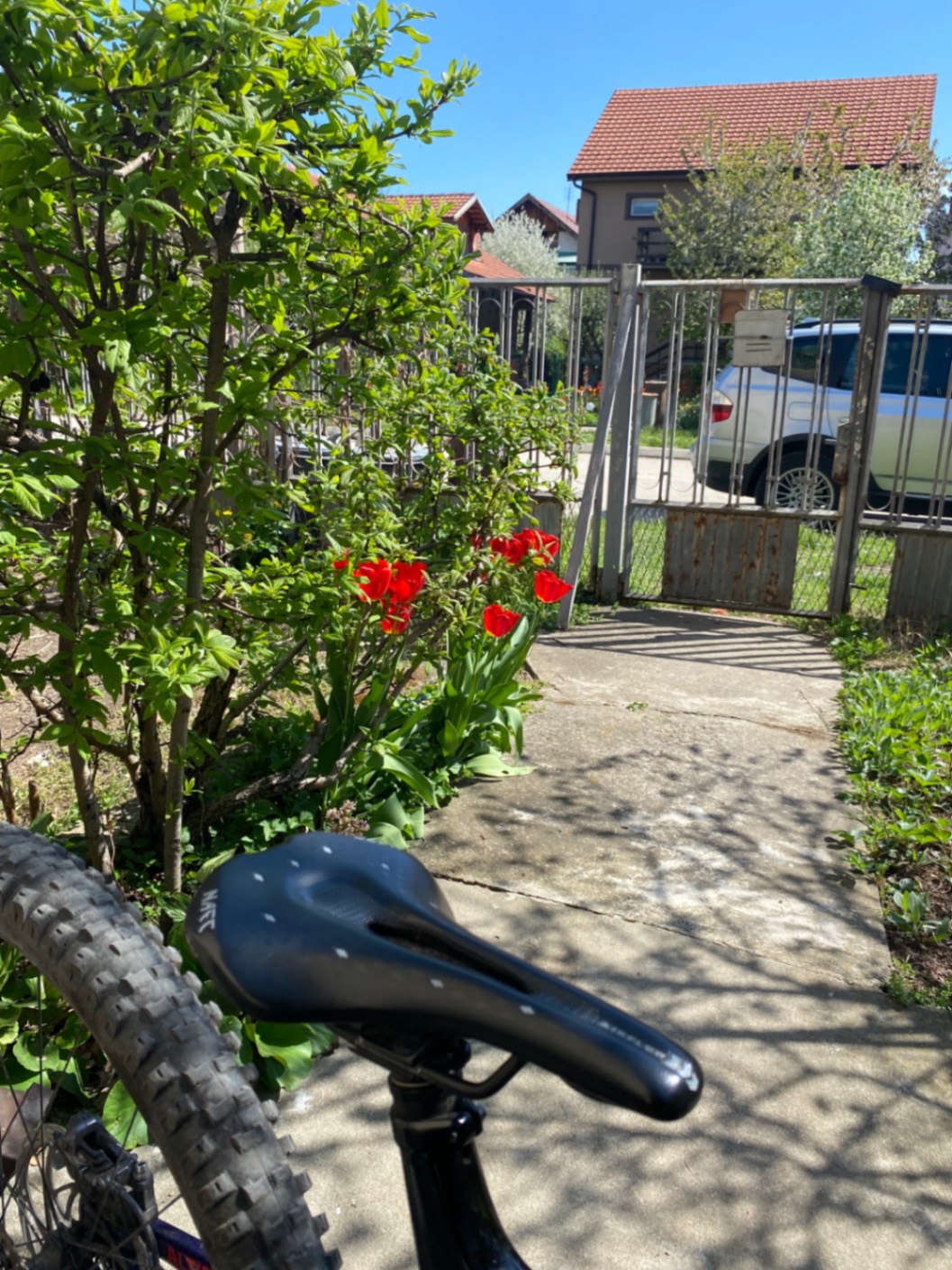 Bike view 6