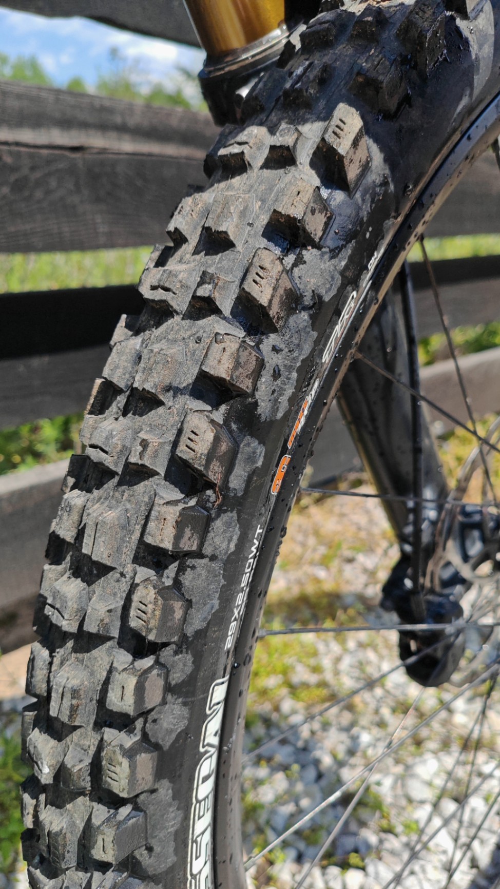 Bike view 6