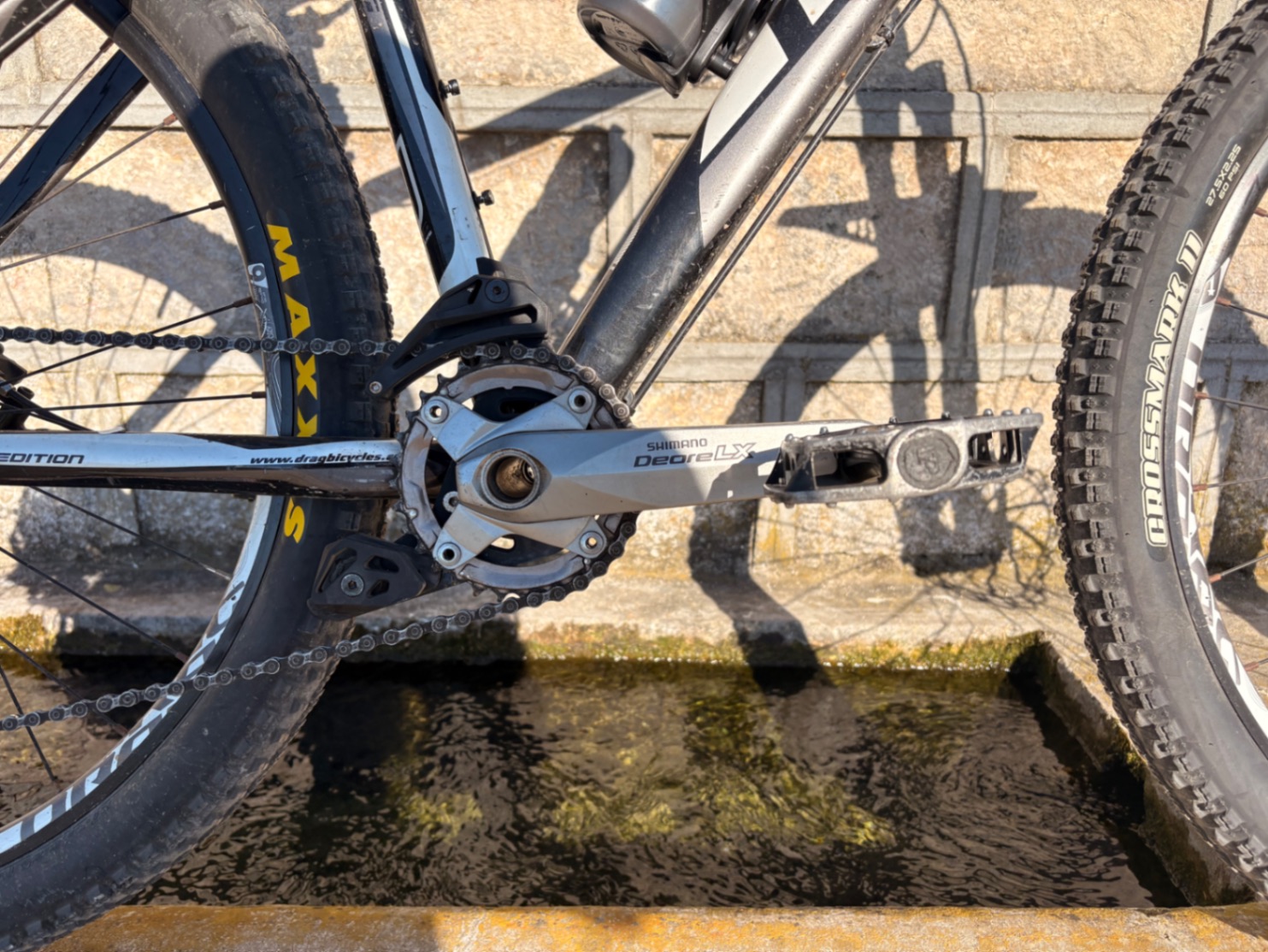 Bike view 8