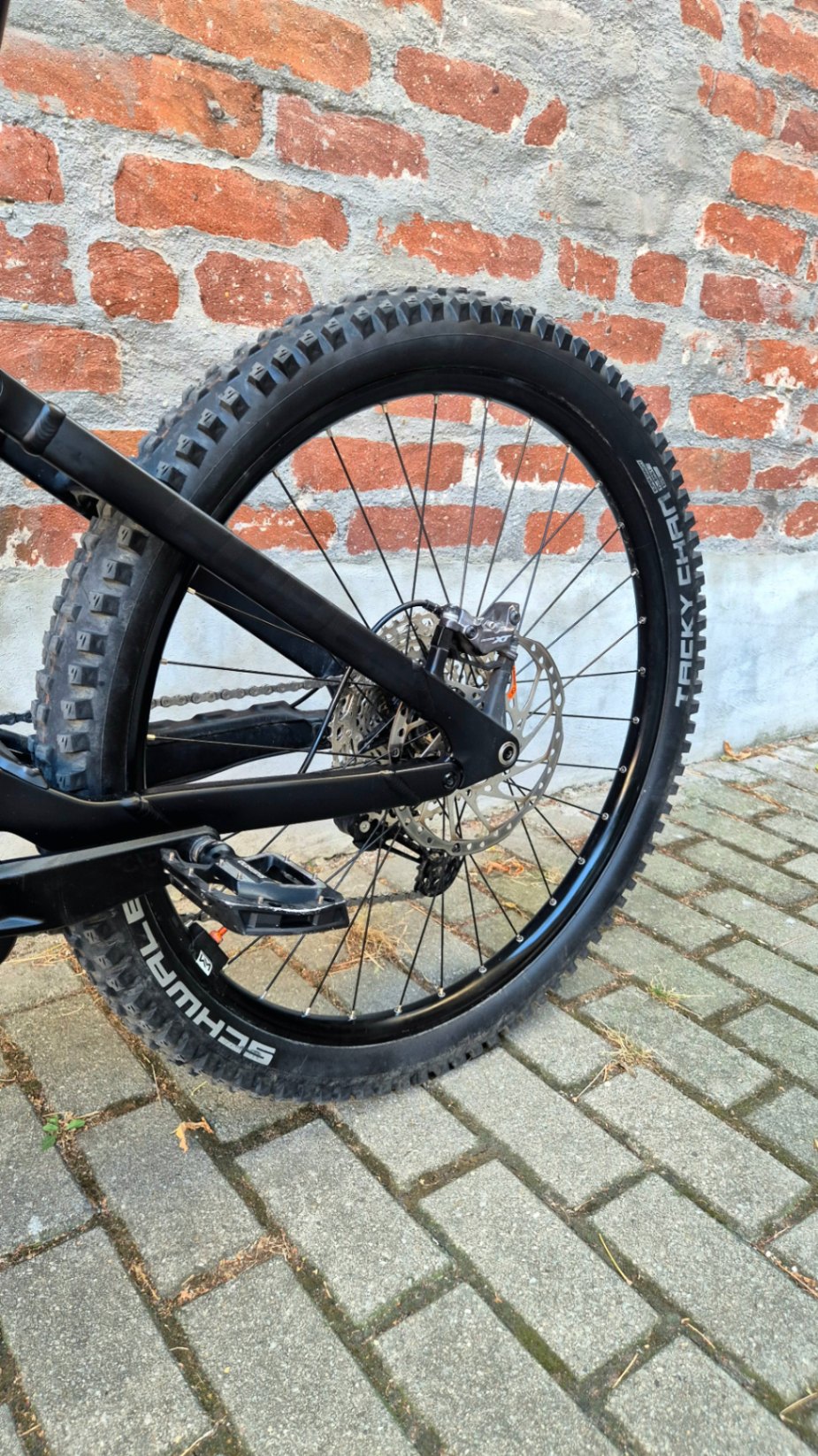 Bike view 8
