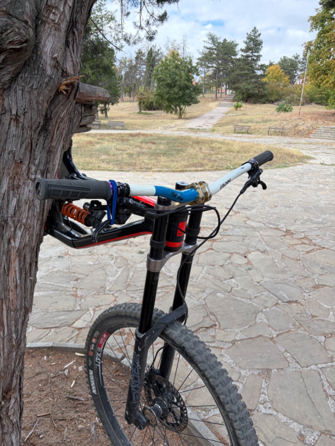 Saracen Myst x carbon view 8