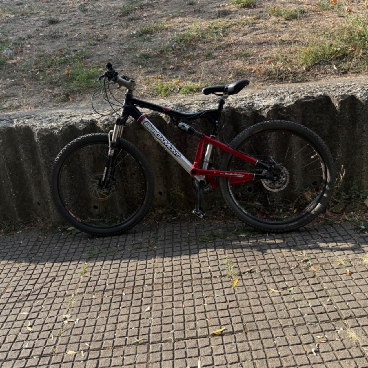 Bergamont Fourstroke 01 LT ONE