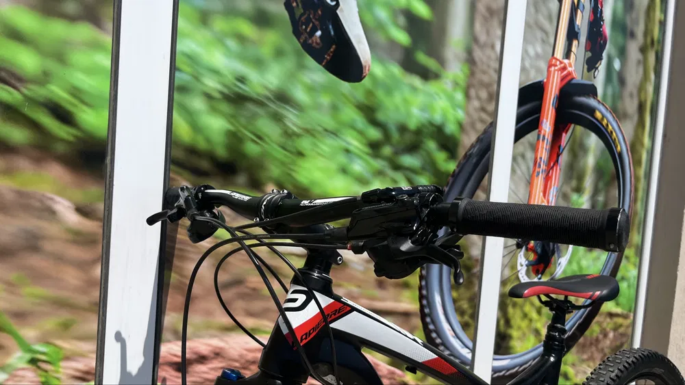Bike view 9