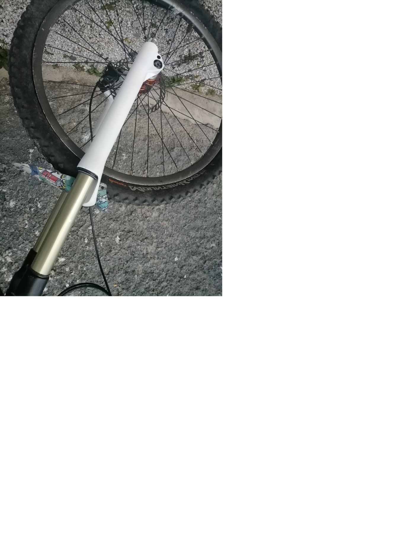 Bike view 7