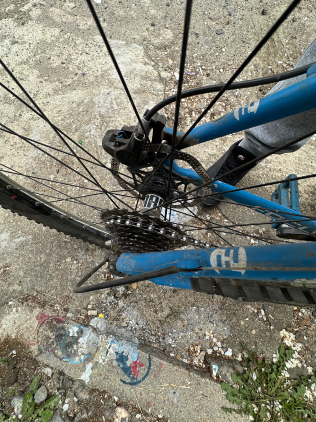 Bike view 6