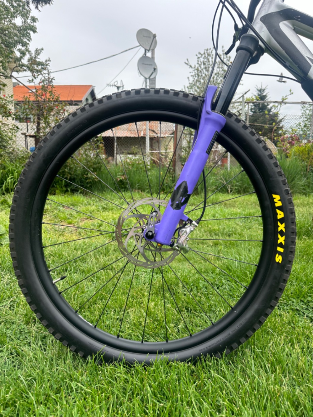 Bike view 7