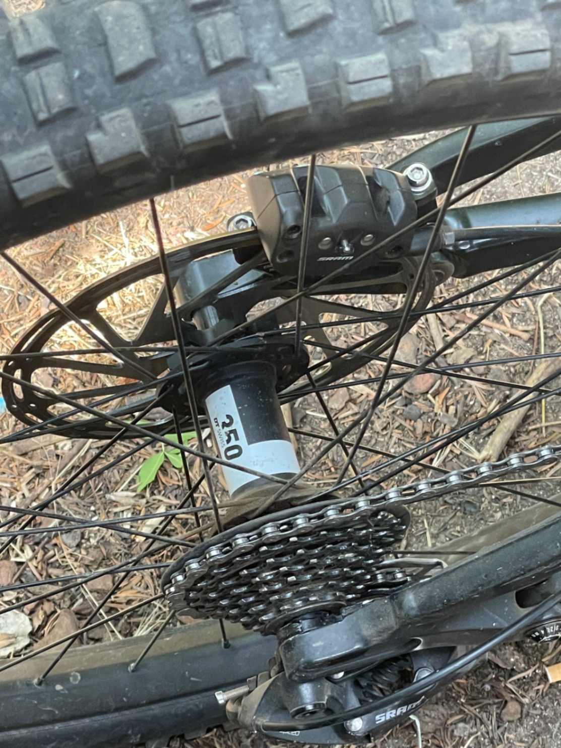 Bike view 9