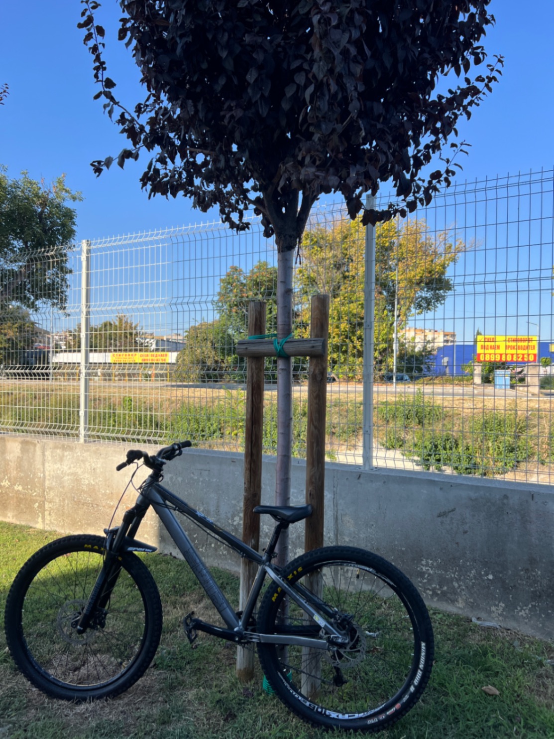 Bike view 8