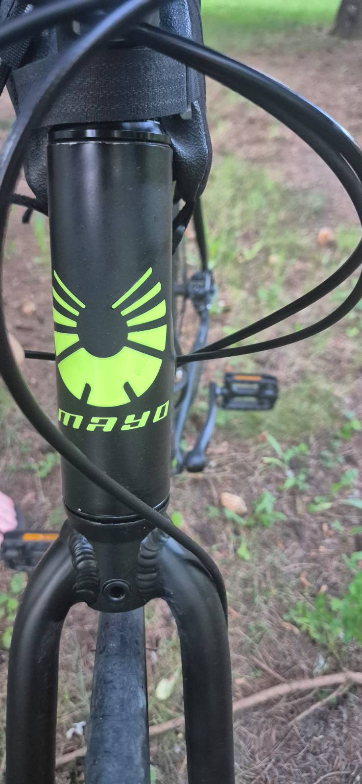 Bike view 10